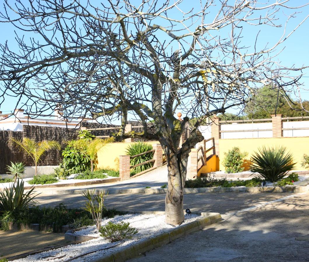 Villa Casas Dibaca By Patria Vejer de la Frontera Esterno foto